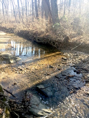 Muddy Creek in  winter